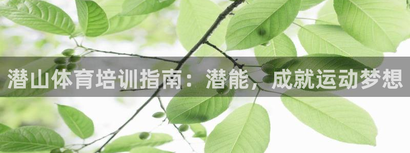 焦点娱乐官网首页下载安装：潜山体育培训指南：潜能，成