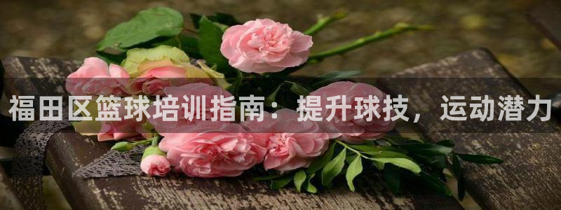 焦点娱乐拉菲11月11日：福田区篮球培训指南：提升球